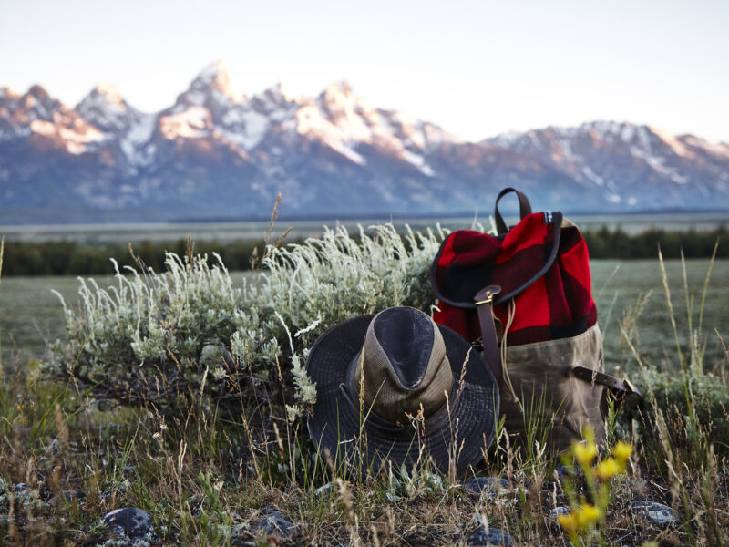 a backpack in a meadow with mountain range