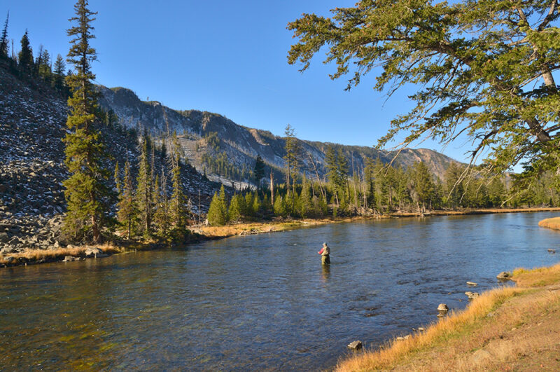 Fly fishing in Jackson Hole