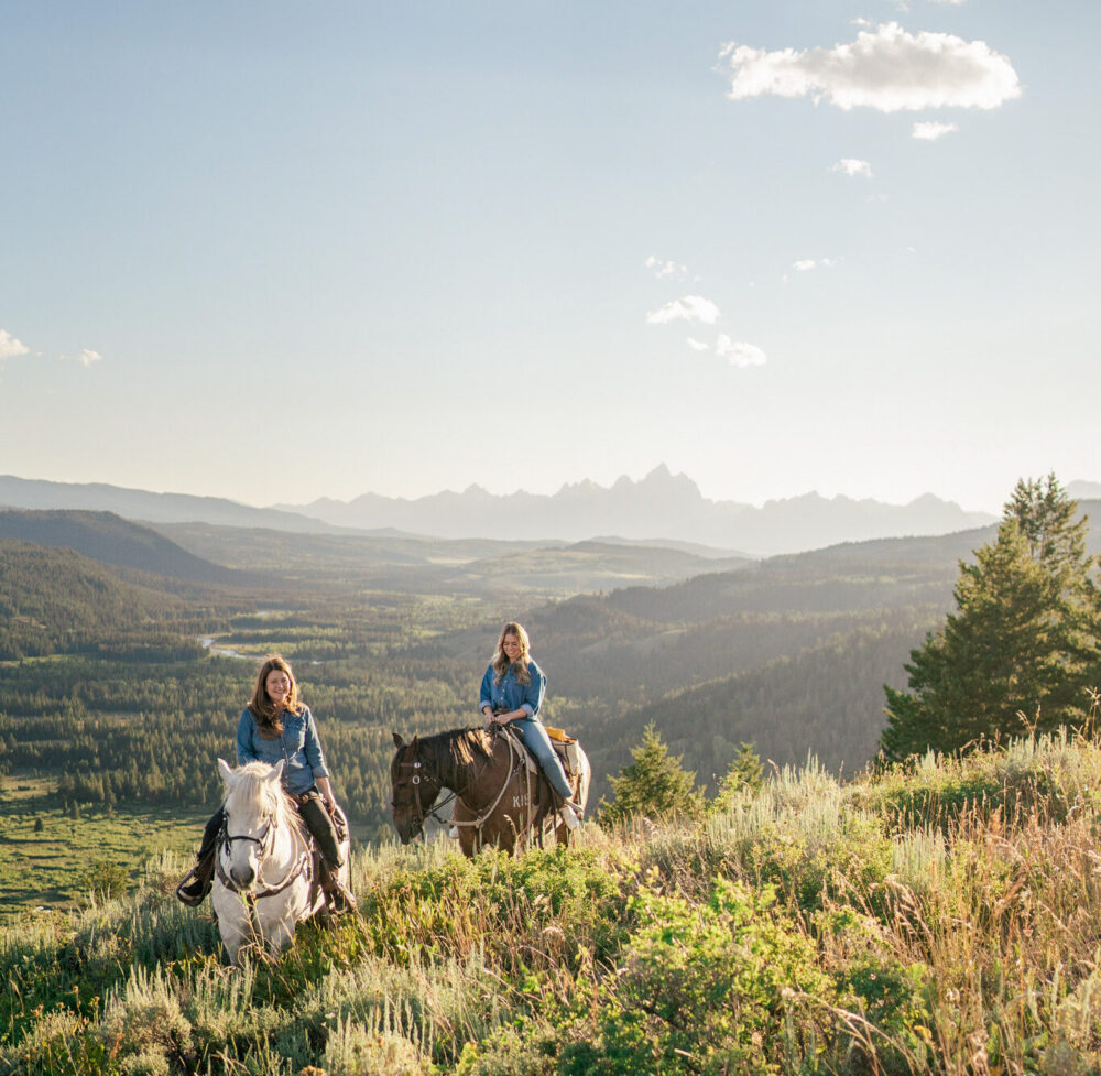 people on horses riding in meadow