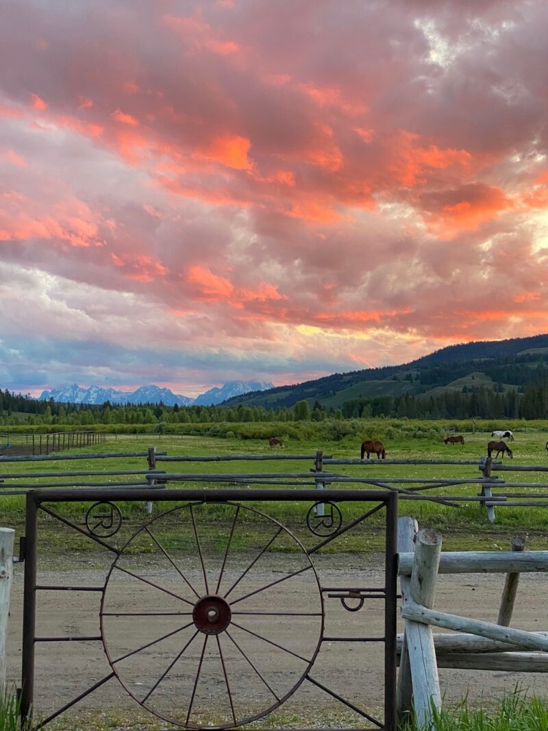 Turpin Meadow Ranch at sunset, with horses grazing in the field.